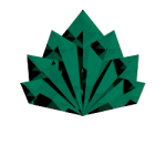 Navratna-stg24-logo-transparent-rasta-white