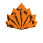 Amber-stg5-logo-transparent-rasta-white-web