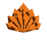 Amber-stg5A-logo-transparent-rasta-white-web