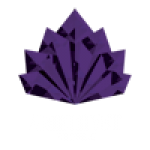 Amethyst-stg8-logo-transparent-rasta-white-web