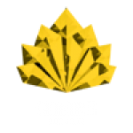 Citrine-stg10-logo-transparent-rasta-blckwhite-web