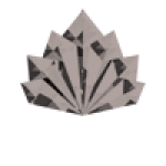 Diamond-stg3-logo-transparent-rasta-white-web