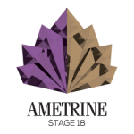 Ametrine--stg18-logo-transparent-rasta-black-min